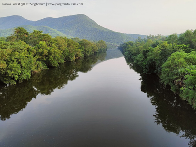 Narwa Forest